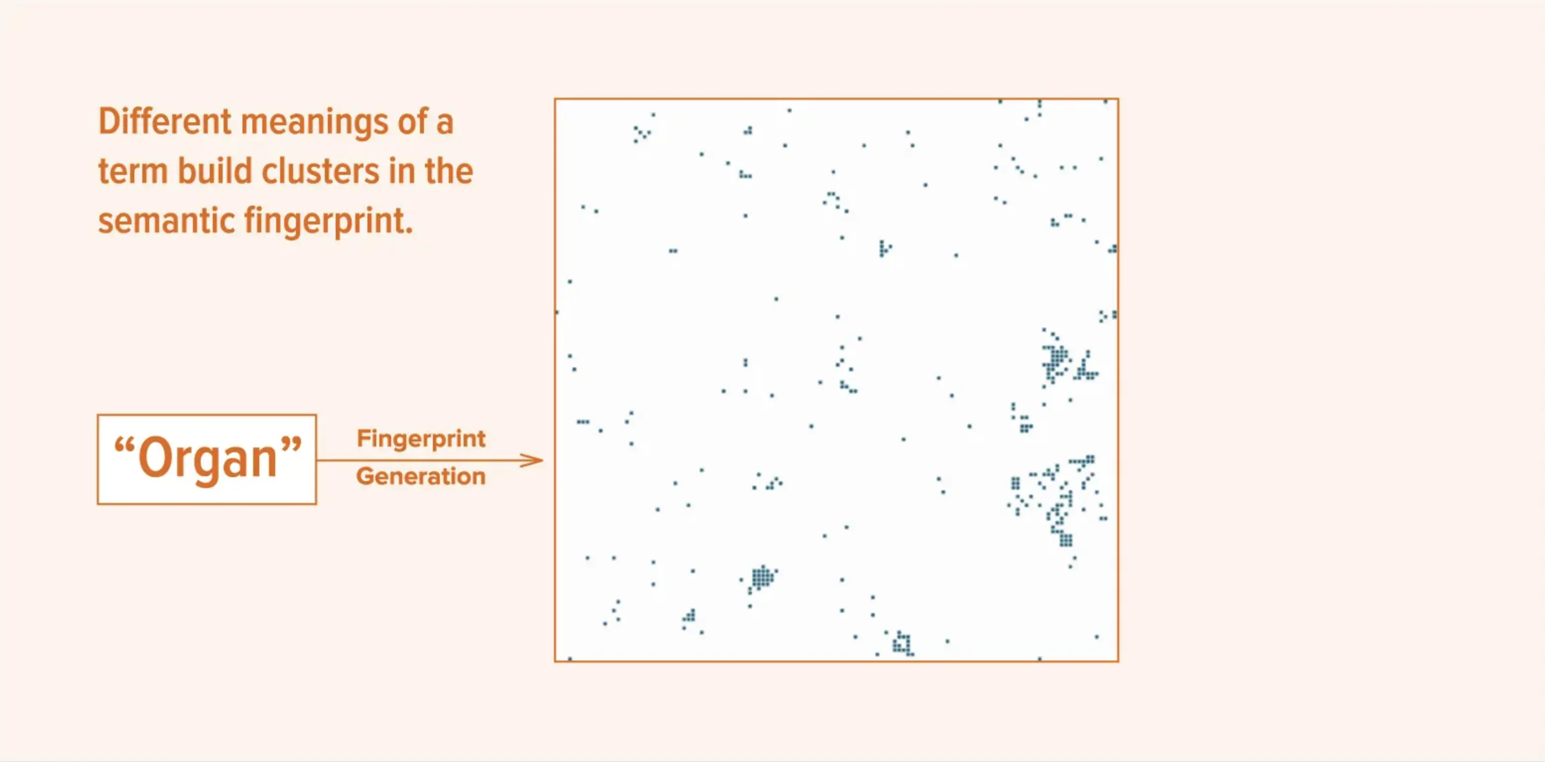 Digital illustration of a semantic fingerprint for the word 'organ'. Set against an orange background.